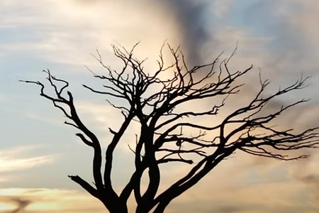 Regional mapping in SA Regional mapping in SA